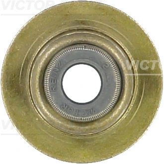 Seal Ring, valve stem